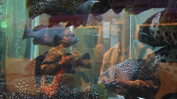 Carousel Image 5