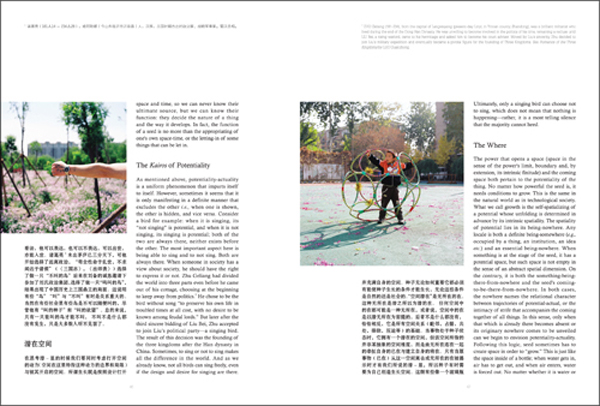 Carousel Image 7